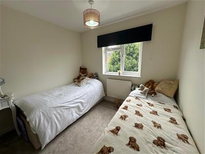 Picture 20